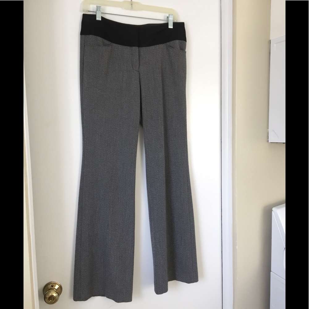 Express Editor Pants